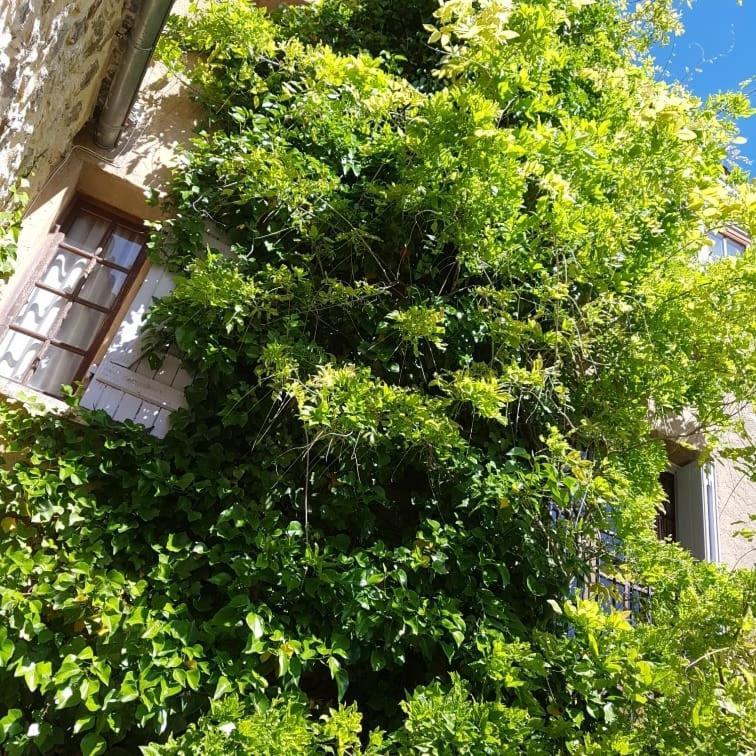 Le Balcon Apartman Camps-sur-l’Agly Kültér fotó